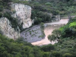 Paisaje. Entre el arroyo y frondosos árboles se encuentra un pequeño lugar para admirar.  /