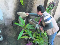 Un trabajador de la SSJ establece un régimen que evitará la proliferación del mosco Aedes aegypti, en la Colonia del Fresno.  /