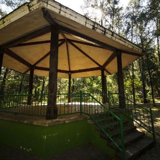 Bosque Los Colomos, sin recursos para atender desperfectos