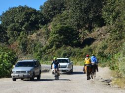 Las personas que trabajan para dar seguridad al Bosque La Primavera no se dan abasto para cubrir todas las hectáreas.  /