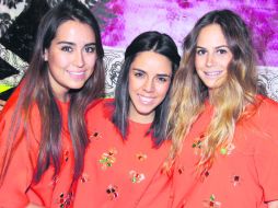 Color. Brenda Ávila, Andrea Galindo y Daniela Navarro.  /