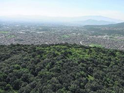 Las autoridades esperan que con la creación del OPD del Bosque La Primavera se tenga una administración más eficaz.  /