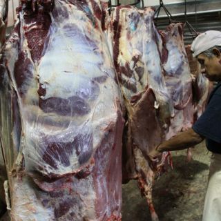 Aumentan precios de lácteos y carne: FAO