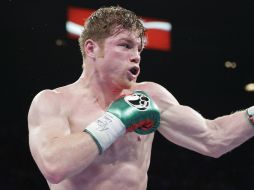 Saúl Álvarez tendrá la oportunidad de reivindicarse ante Alfredo Angulo. ARCHIVO /