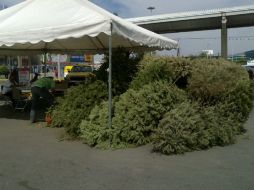 Los centros de acopio estarán abiertos hasta el 7 de febrero. ESPECIAL /