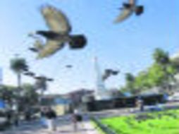 Rincones. Una pista para conocer el mundo.  /