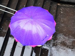 Prevén intervalos de chubascos con tormentas fuertes en Chiapas, Jalisco, Quintana Roo y Zacatecas. ARCHIVO /