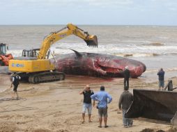 El operativo para retirar el cadáver de la playa seguirá hasta el día de mañana. AFP /