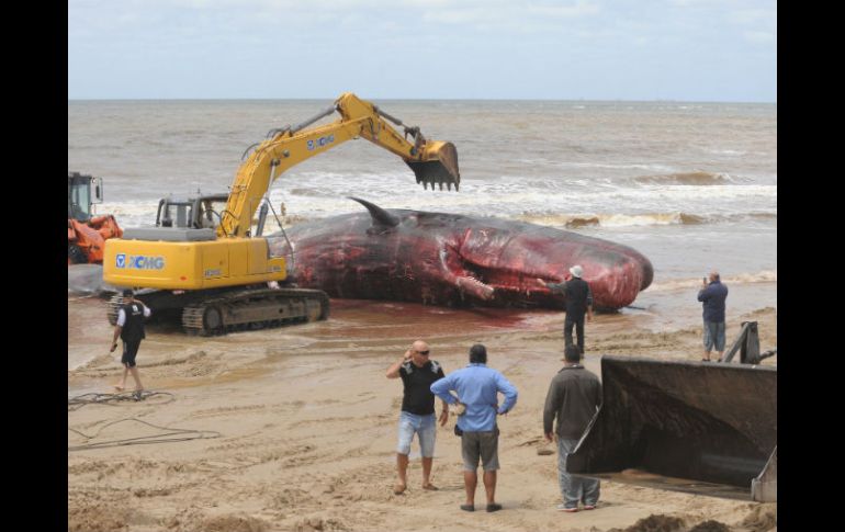 El operativo para retirar el cadáver de la playa seguirá hasta el día de mañana. AFP /