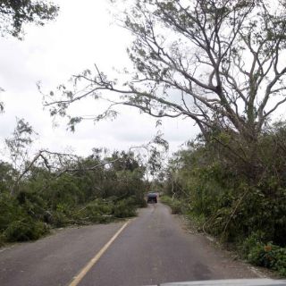 Ejecutan a un hombre en la Región Costa Sur