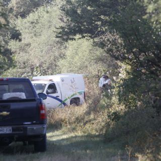 Encuentran siete cuerpos más en fosas de La Barca