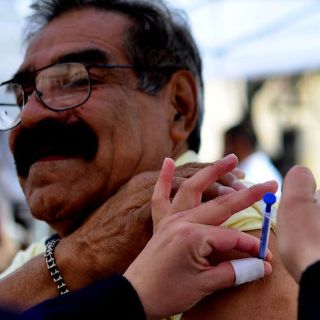 La influenza AH1N1 ya es estacional