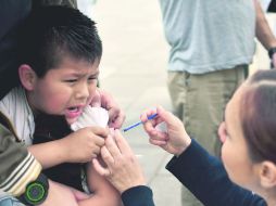 El Instituto Mexicano del Seguro Social informó que aún hay 175 mil 225 dosis contra influenza disponibles.  /