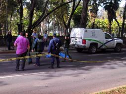 El cuerpo fue levantado por personal del IJCF.  /