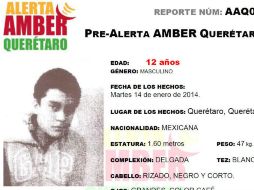 José Paulo Vázquez Osorio, de 12 años, quien desapareció el martes 14 de enero de 2014. ESPECIAL /