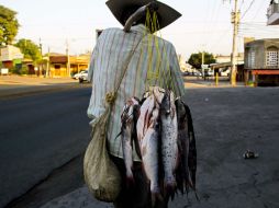 Michoacán figura como uno de los cinco estados del país con mayor porcentaje de ocupados en el sector informal. AFP /