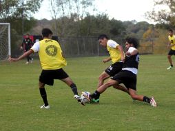 Los Leones Negros se preparan para recibir al Cruz Azul Hidalgo. ARCHIVO /