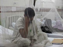 Jalisco se coloca en sexto lugar a nivel nacional por número de contagios de dengue. ARCHIVO /