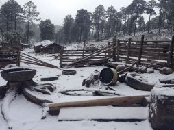 Ubicada al norte del estado en el municipio de Guanaceví, la comunidad de La Rosilla es considerada una de las más frías del país. NTX /