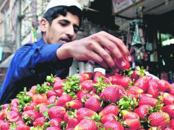 Las fresas son diuréticas y antirreumáticas, además de prevenir enfermedades como el Alzheimer. ARCHIVO /