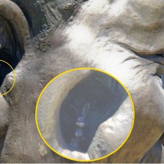 Escultores se disculpan por añadir un conejo a estatua de Mandela