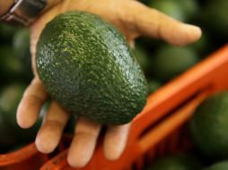 El CNA señala que en el último mes el precio del aguacate subió más de 120%. ARCHIVO /