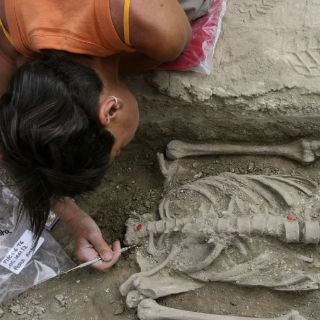 El INAH demuestra propagación de la sífilis en el siglo XIX