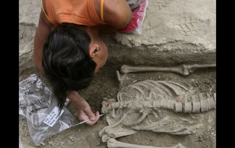 Investigadores y expertos emprendieron análisis osteopatológicos y morfoscópicos para estudiar los restos  /