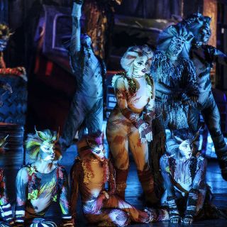 Los gatos hacen fiesta ''jélica'' en el Diana