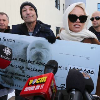 Pamela Anderson, activista a favor de animales en Israel