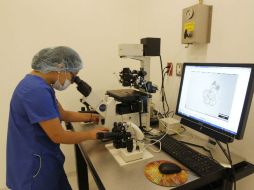 La Secretaría de Salud de Jalisco actualmente cuenta con 80 licenciados en nutrición. ARCHIVO /