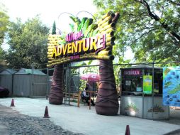 Cerca de la ciudad, Natural Adventurte Park ofrece deportes extremos en un ambiente seguro.  /