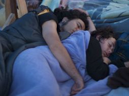 Iniciarán estudio sobre cuáles de los 500 componentes de la planta promueven el sueño y la vigilia. ARCHIVO /