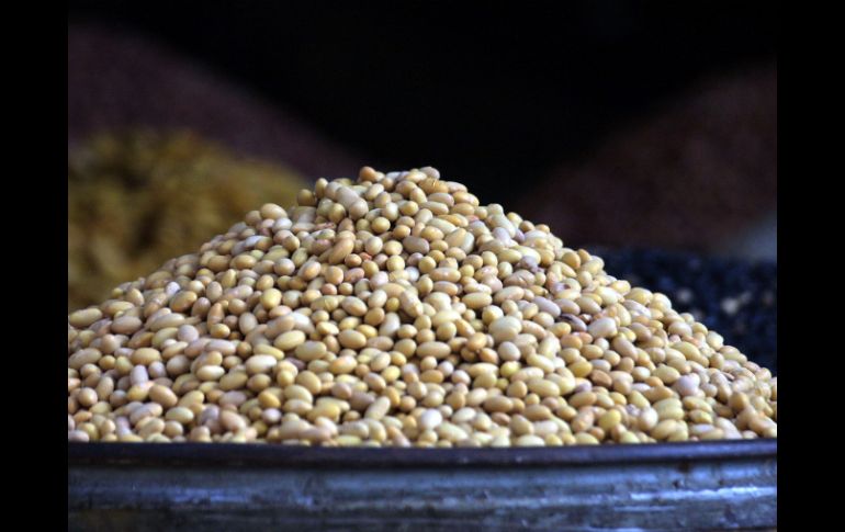 Como su tamaño es mediano, la cantidad a utilizar es menor que con variedades de grano grande. ARCHIVO /