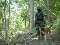Más de 250 elementos de seguridad hacen investigaciones en predios, brechas y cerros por desapariciones. ARCHIVO /