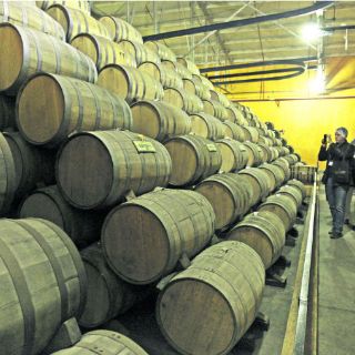 Aprestan una campaña publicitaria en China para posicionar el tequila