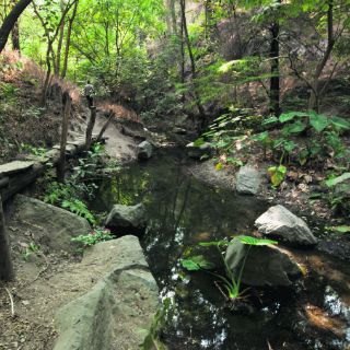 Para disfrutar Los Colomos