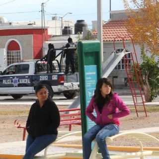 Ignoran consejos ciudadanos de seguridad