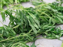 La nueva ley, que legaliza la mariguana en Uruguay, ha generado polémica a nivel internacional y nacional. ESPECIAL /