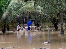 Las lluvias torrenciales han afectado a las localidades de Beni, La Paz, Cochabamba y Chuquisaca. AFP /