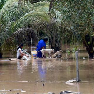 Reportan más de 35 mil familias afectadas por lluvias en Bolivia