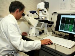 Medir niveles de DDE en sangre puede servir para determinar con mayor precisión quiénes tienen más riesgo de desarrollar la patología. ARCHIVO /