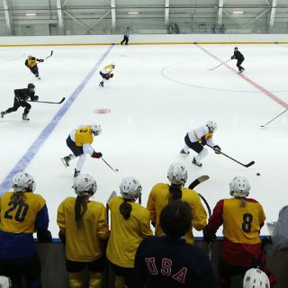 Conozca más sobre hockey sobre hielo