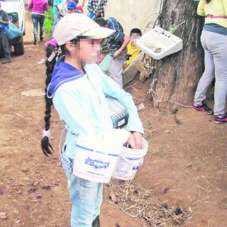Buscan 'dientes' contra la explotación laboral infantil