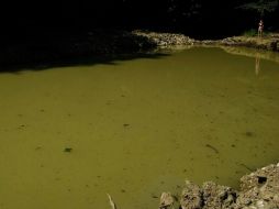 Este es uno de los lagos en la región, totalmente contaminado por la construcción de obras. Twitter: @mashant. ESPECIAL /