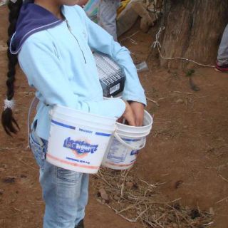 Alcalde de Mazamitla descarta explotación infantil en el municipio