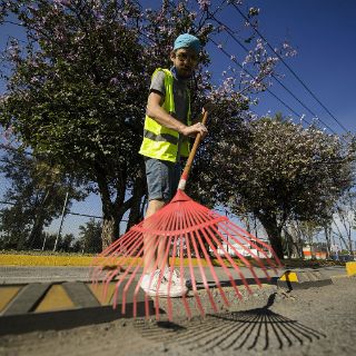 Limpian ciclovía para que autoridades intervengan en ella
