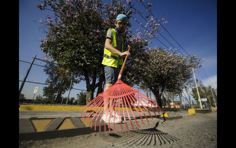 Con escobas, rastrillos, cubetas, palas y carretillas; unos 20 estudiantes del colectivo 'Movilidad ITESO' limpian la ciclovía.  /