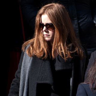 Valentino se disculpa por foto de Amy Adams