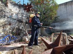 La suma de casos de dengue clásico y hemorrágico es 86, el doble del año pasado. Tomatlán y Puerto Vallarta, los más afectados. ARCHIVO /